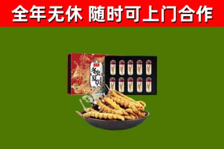 璧山区回收冬虫夏草价格